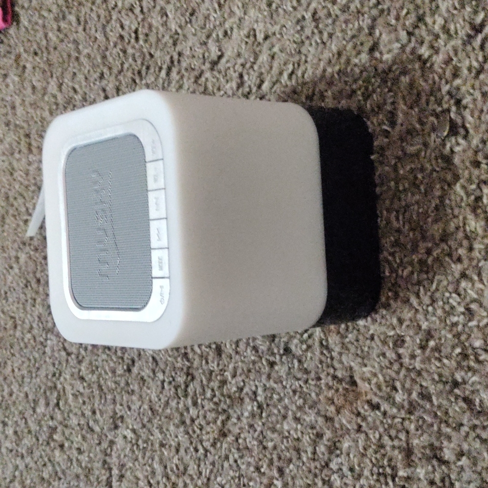 Speaker